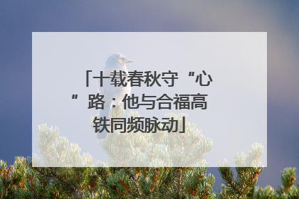 十载春秋守“心”路：他与合福高铁同频脉动