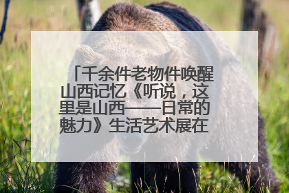 千余件老物件唤醒山西记忆《听说，这里是山西——日常的魅力》生活艺术展在忻州市图书馆开展