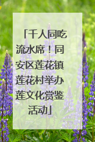 千人同吃流水席！同安区莲花镇莲花村举办莲文化赏鉴活动