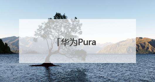华为Pura 80系列未发布先预售，人气火爆