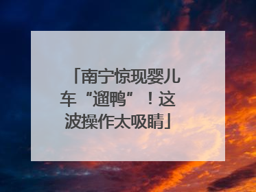 南宁惊现婴儿车“遛鸭”！这波操作太吸睛