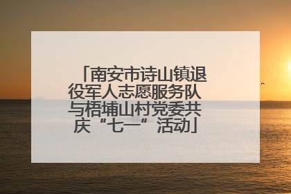 南安市诗山镇退役军人志愿服务队与梧埔山村党委共庆“七一”活动