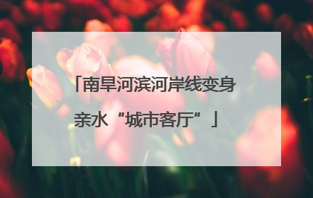 南旱河滨河岸线变身亲水“城市客厅”