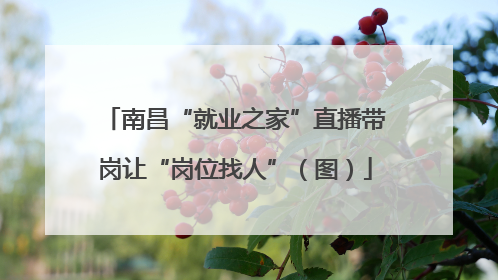 南昌“就业之家”直播带岗让“岗位找人”（图）