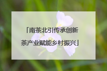 南茶北引传承创新 茶产业赋能乡村振兴