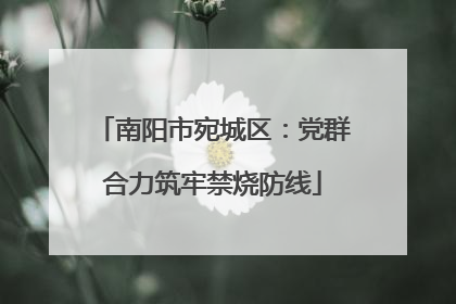 南阳市宛城区：党群合力筑牢禁烧防线