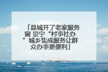 县城开了老家服务窗 景宁“村事社办”城乡集成服务让群众办事更便利