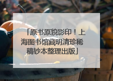 原书原貌影印！上海图书馆藏明清珍稀稿钞本整理出版