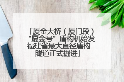 厦金大桥（厦门段）“厦金号”盾构机始发 福建省最大直径盾构隧道正式掘进