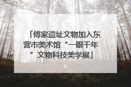 傅家遗址文物加入东营市美术馆“一眼千年”文物科技美学展