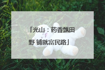 光山：药香飘田野 铺就富民路