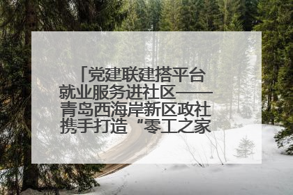 党建联建搭平台 就业服务进社区——青岛西海岸新区政社携手打造“零工之家”就业服务新阵地