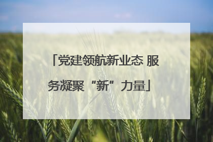 党建领航新业态 服务凝聚“新”力量