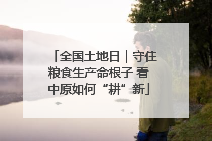 全国土地日｜守住粮食生产命根子 看中原如何“耕”新