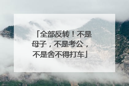 全部反转！不是母子，不是考公，不是舍不得打车