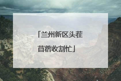 兰州新区头茬苜蓿收割忙