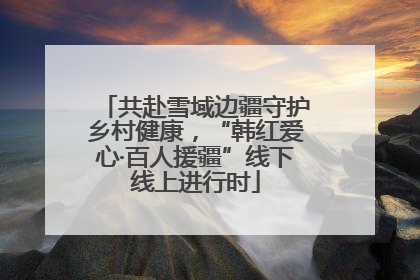 共赴雪域边疆守护乡村健康，“韩红爱心·百人援疆”线下线上进行时