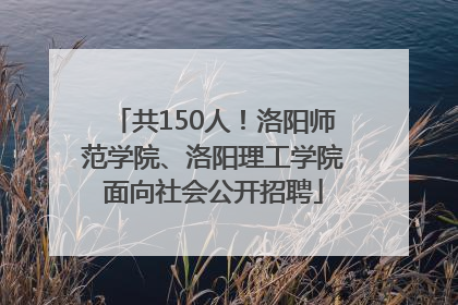 共150人！洛阳师范学院、洛阳理工学院面向社会公开招聘