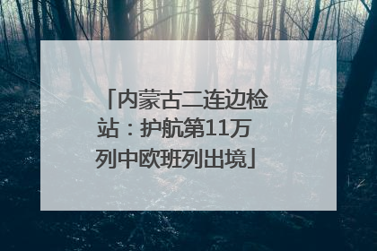 内蒙古二连边检站：护航第11万列中欧班列出境