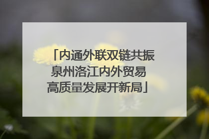 内通外联双链共振 泉州洛江内外贸易高质量发展开新局