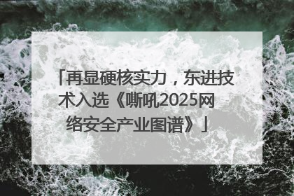 再显硬核实力，东进技术入选《嘶吼2025网络安全产业图谱》