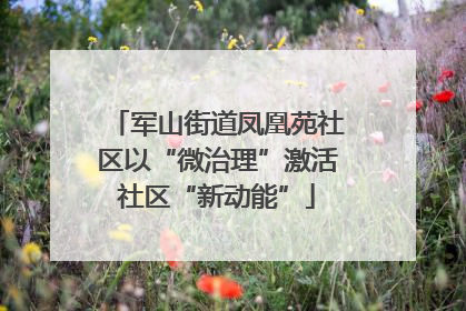 军山街道凤凰苑社区以“微治理”激活社区“新动能”