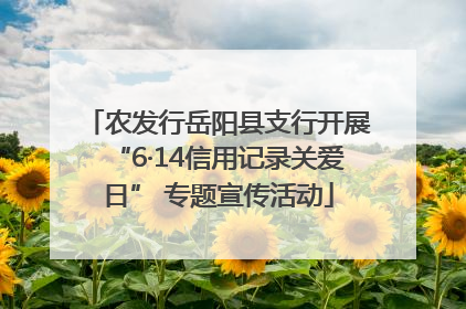 农发行岳阳县支行开展“6·14信用记录关爱日” 专题宣传活动