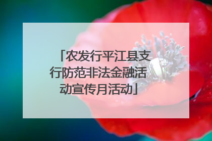农发行平江县支行防范非法金融活动宣传月活动