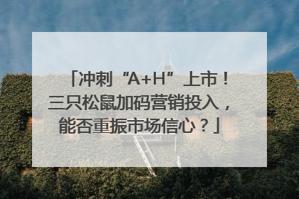 冲刺“A+H”上市！三只松鼠加码营销投入，能否重振市场信心？