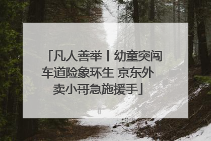 凡人善举丨幼童突闯车道险象环生 京东外卖小哥急施援手
