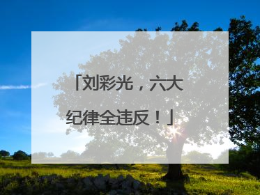 刘彩光，六大纪律全违反！