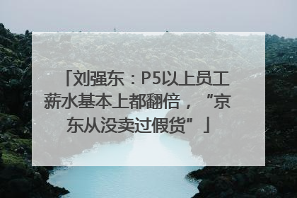 刘强东：P5以上员工薪水基本上都翻倍，“京东从没卖过假货”