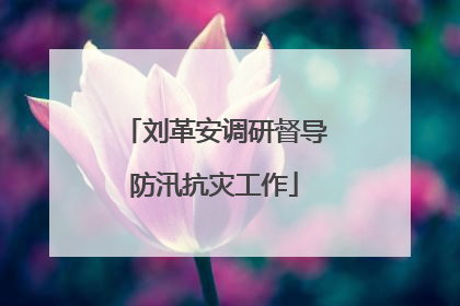 刘革安调研督导防汛抗灾工作