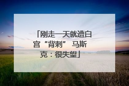 刚走一天就遭白宫“背刺” 马斯克：很失望