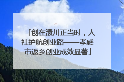 创在澴川正当时，人社护航创业路——孝感市返乡创业成效显著