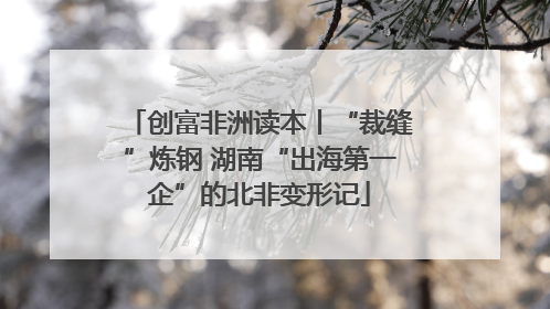 创富非洲读本丨“裁缝”炼钢 湖南“出海第一企”的北非变形记