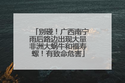 别碰！广西南宁雨后路边出现大量非洲大蜗牛和福寿螺！有致命危害