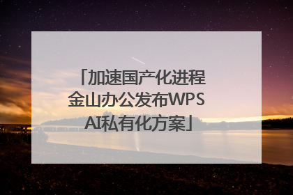 加速国产化进程 金山办公发布WPS AI私有化方案