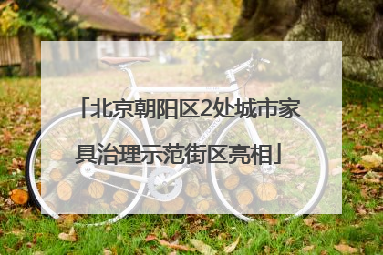 北京朝阳区2处城市家具治理示范街区亮相