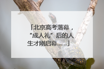 北京高考落幕，“成人礼”后的人生才刚启幕……