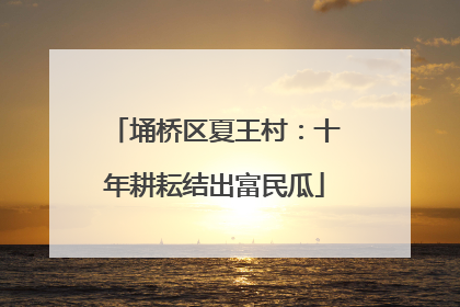 埇桥区夏王村：十年耕耘结出富民瓜