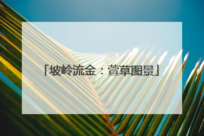 坡岭流金：萱草图景