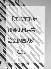 吴晓军罗东川会见出席青洽会的国内外嘉宾