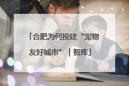 合肥为何投建“宠物友好城市”｜智库