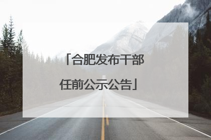 合肥发布干部任前公示公告