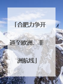 合肥力争开通至欧洲、非洲航线