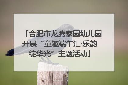 合肥市龙腾家园幼儿园开展“童趣端午汇·乐韵绽华光”主题活动
