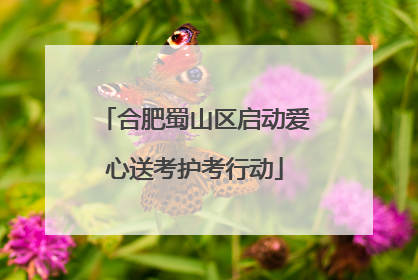 合肥蜀山区启动爱心送考护考行动