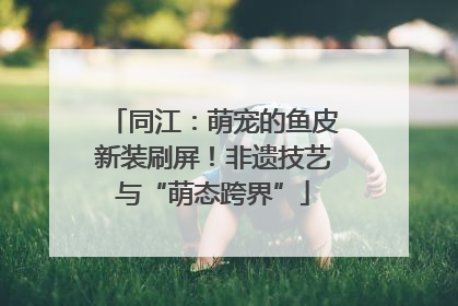 同江：萌宠的鱼皮新装刷屏！非遗技艺与“萌态跨界”