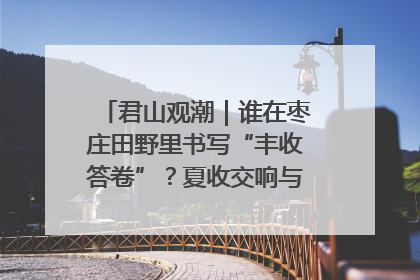 君山观潮｜谁在枣庄田野里书写“丰收答卷”？夏收交响与特色产业，共绘乡村振兴新图景